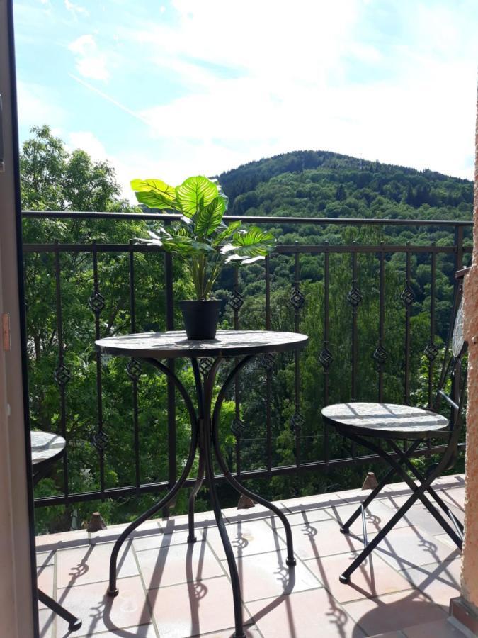 Apartmány Marie Jáchymov Esterno foto