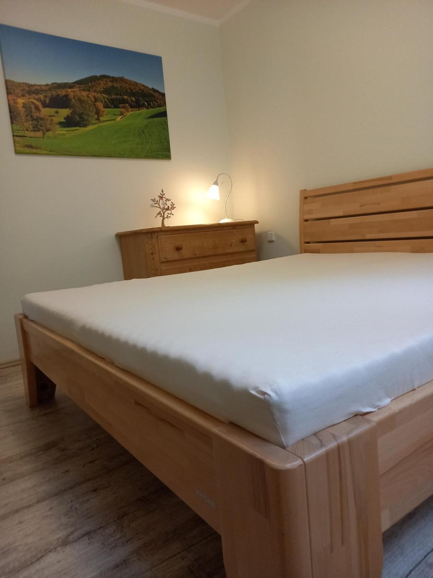 Apartmány Marie Jáchymov Esterno foto